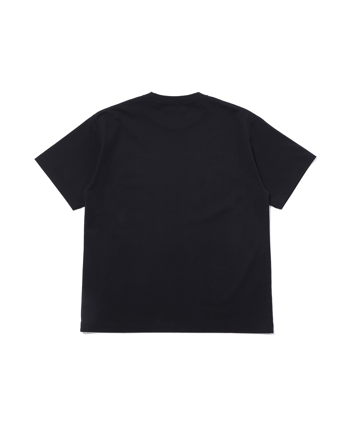 SKULL IN FLAMES S/S TEE