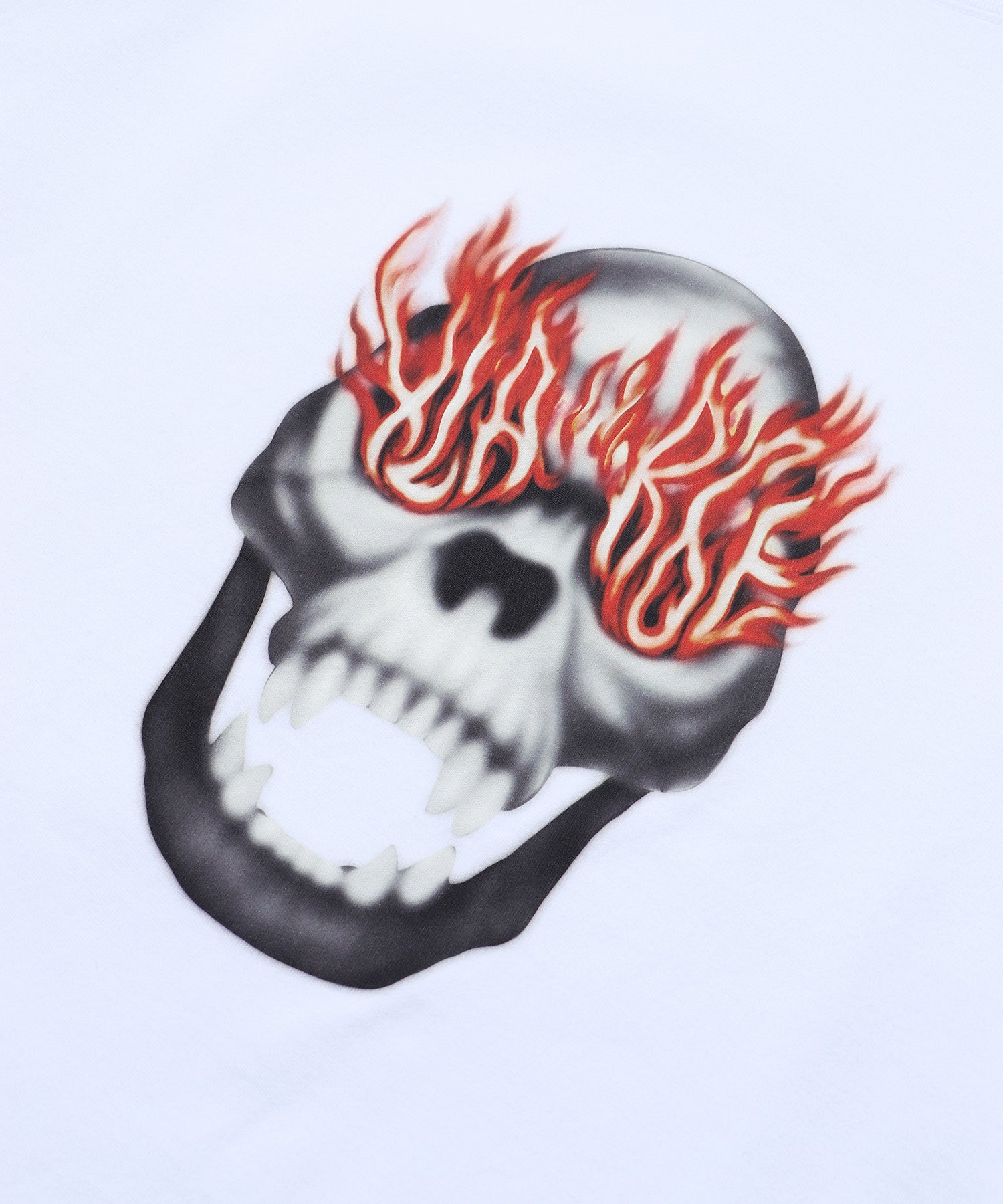 SKULL IN FLAMES L/S TEE